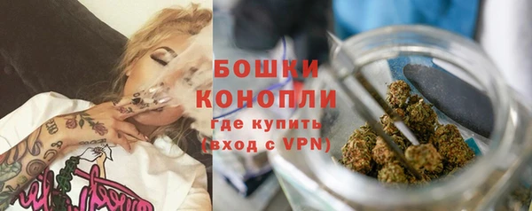 стаф Покачи