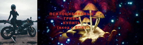 индика Ветлуга
