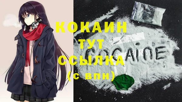 стаф Покачи