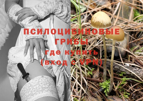 тгк Покровск