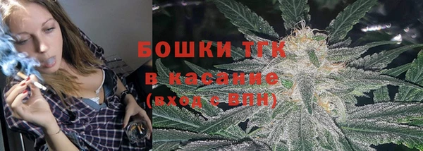 стаф Покачи