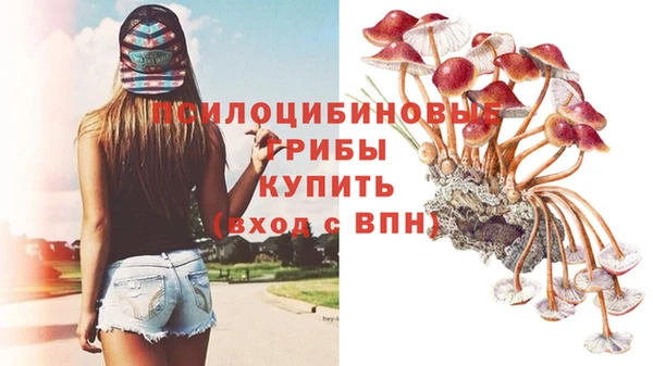 стаф Покачи