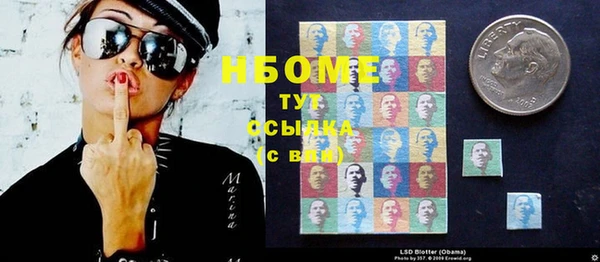 мдпв Пестово