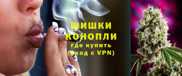 стаф Покачи