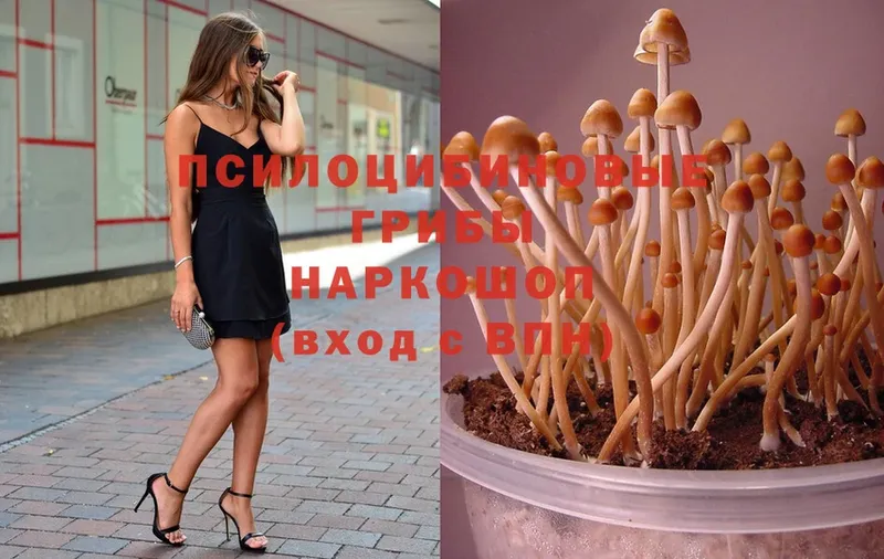 Псилоцибиновые грибы Magic Shrooms  Петровск-Забайкальский 